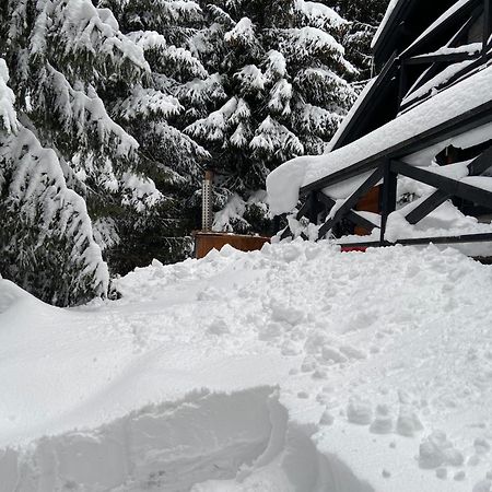 Chalet Rackova Dolina Прибылина Экстерьер фото
