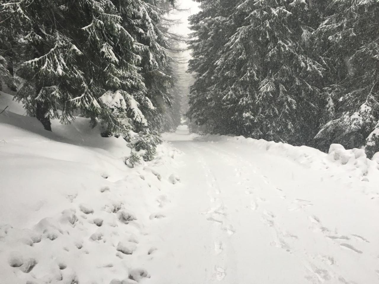 Chalet Rackova Dolina Прибылина Экстерьер фото