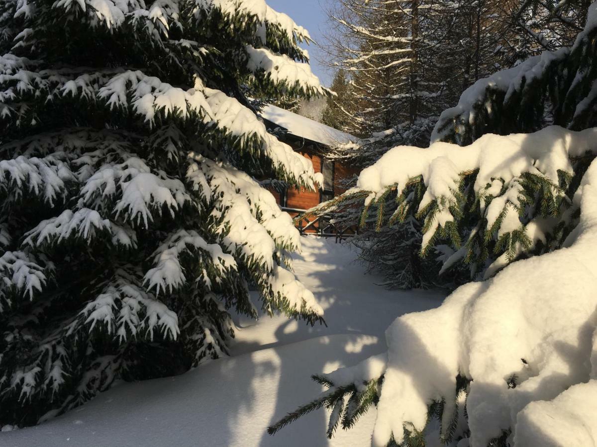 Chalet Rackova Dolina Прибылина Экстерьер фото